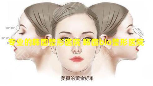 专业的韩国整形医院 韩国bio整形医院